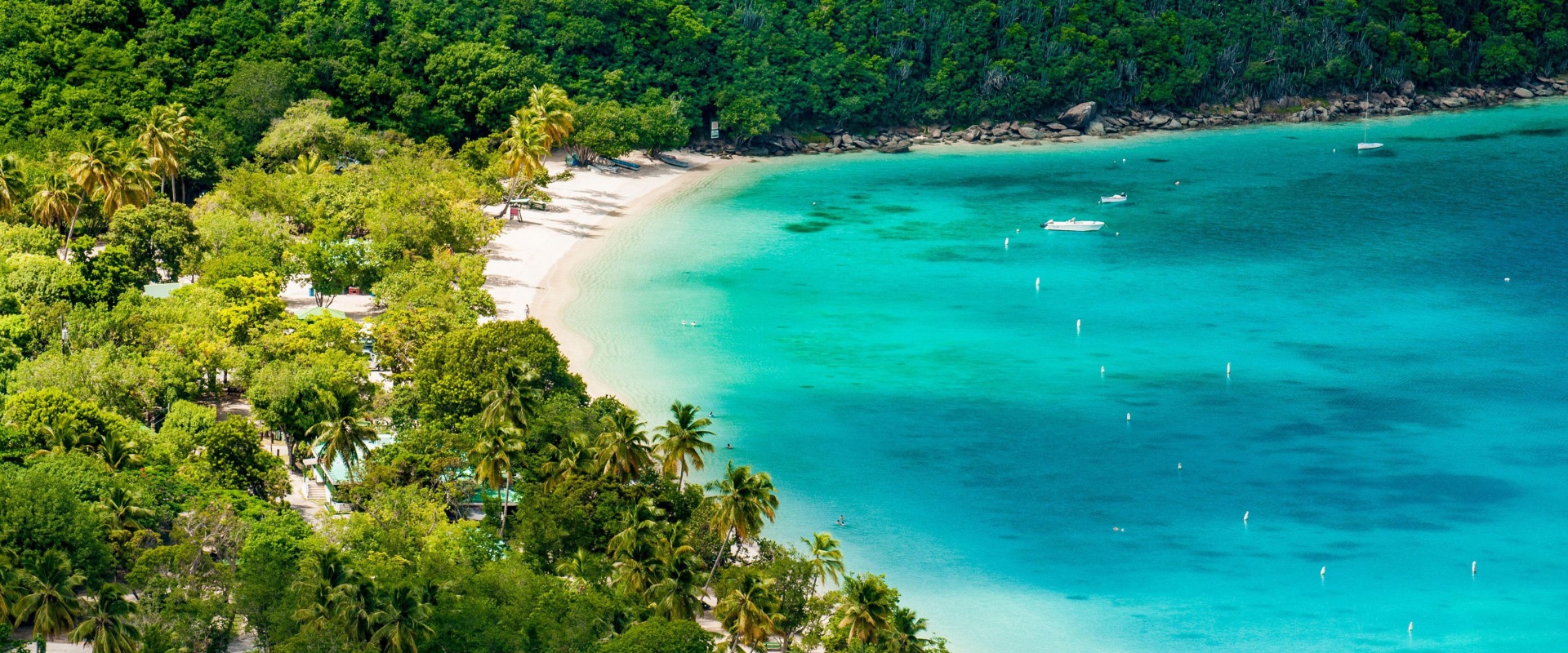 which-us-virgin-island-has-the-best-snorkeling-experience