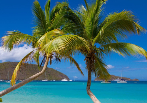 Discover the Best Beaches in the US Virgin Islands